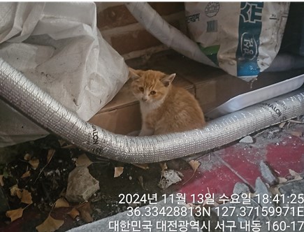 대전동물보호센터_430366202400631